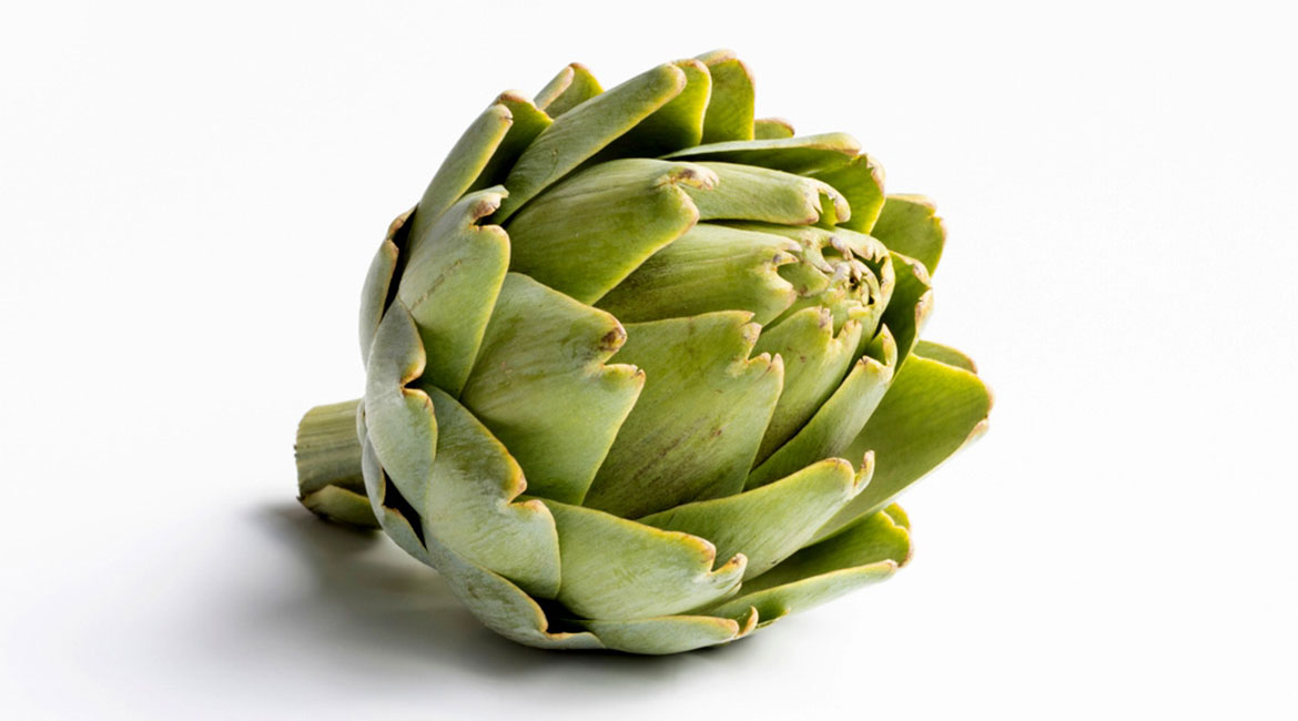 Linneo. Desarrollo de extractos vegetales.