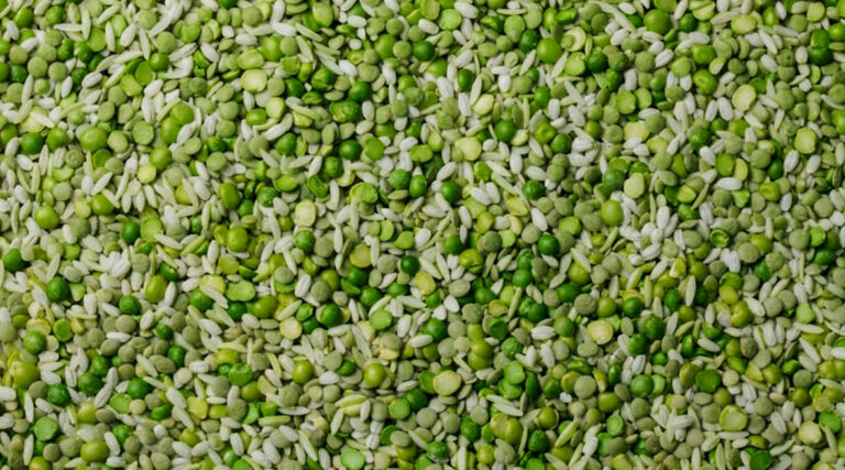 Sinergia proteica de arroz y arveja para formulación B2B de ingredientes activos Linneo