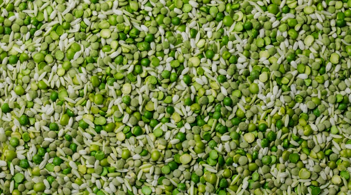 Sinergia proteica de arroz y arveja para formulación B2B de ingredientes activos Linneo