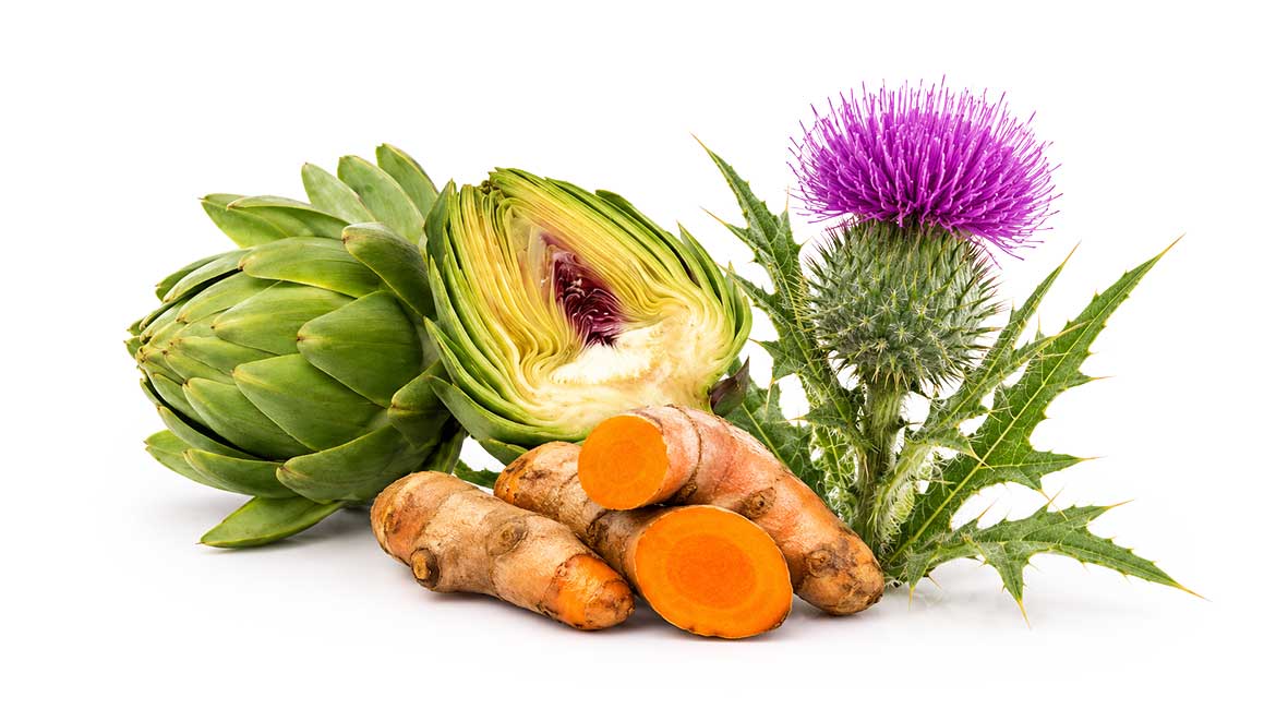 Linneo. Desarrollo de extractos vegetales.