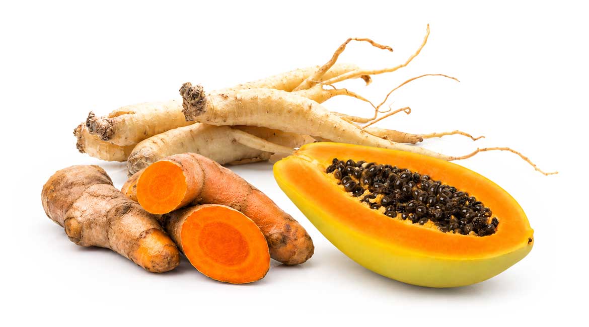 Linneo. Desarrollo de extractos vegetales.